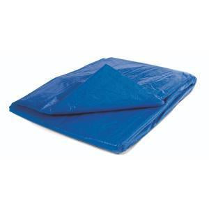 Blue Polyethylene Tarp with Grommets